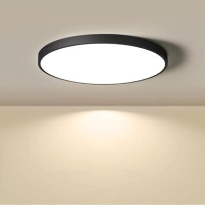 Лед Плафонерка Црна 3color 40w