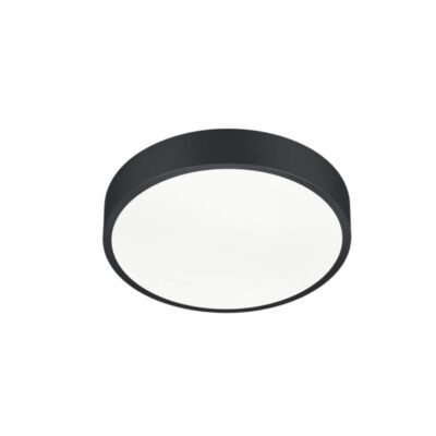 WACO- црна плафонерка 28W f310